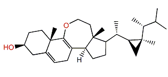 Ameristerenol A